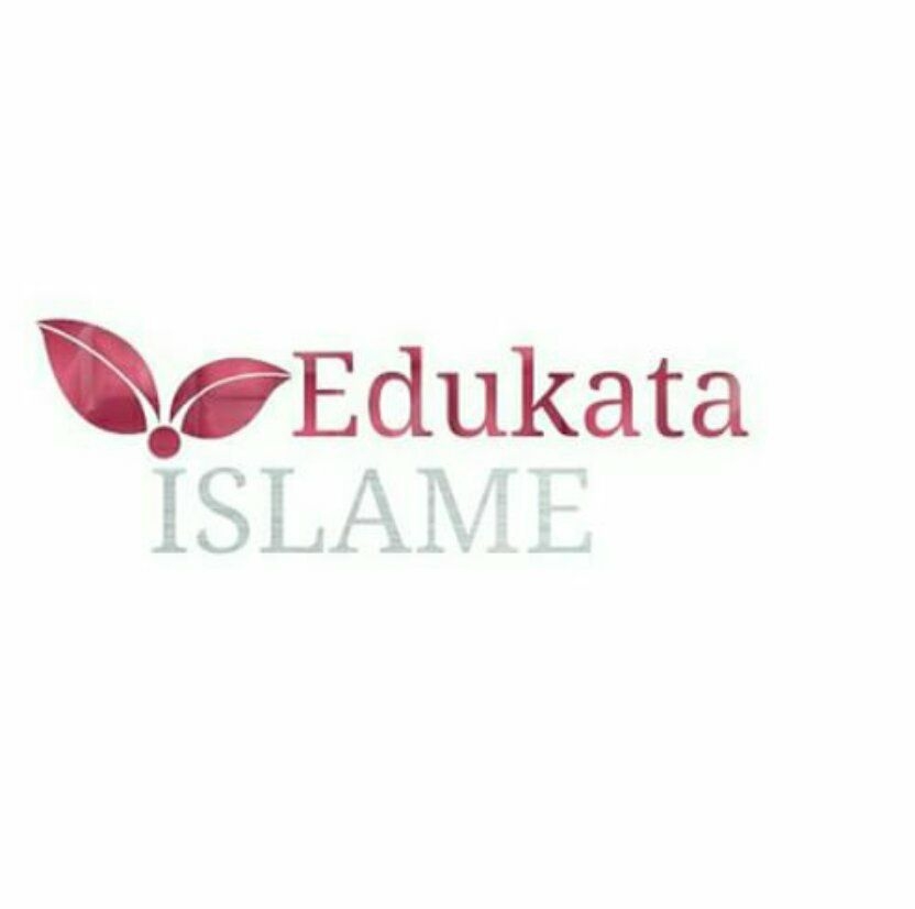 Cilat janë normat kryesore rreth edukatës?