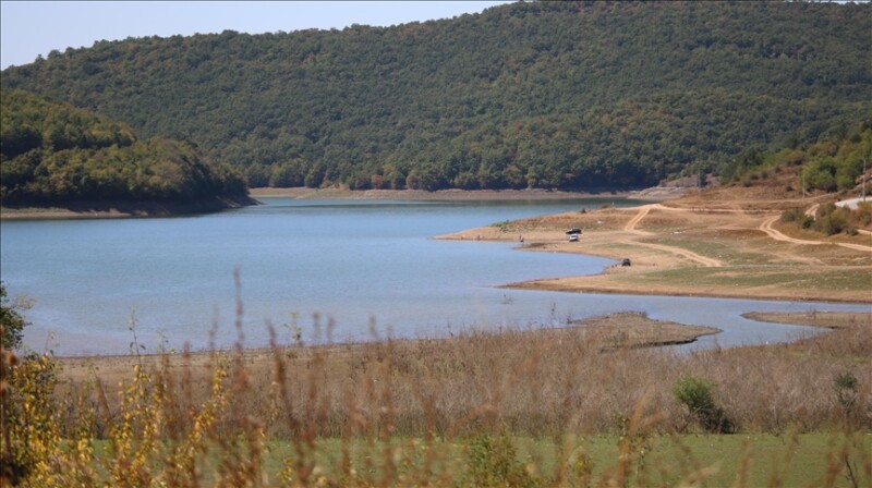 thumbs_b_c_53c97bbeb1bdf0186290970c72d39b7a