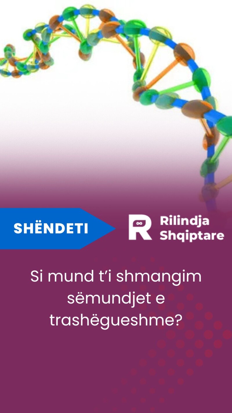 rilindja shqiptare story